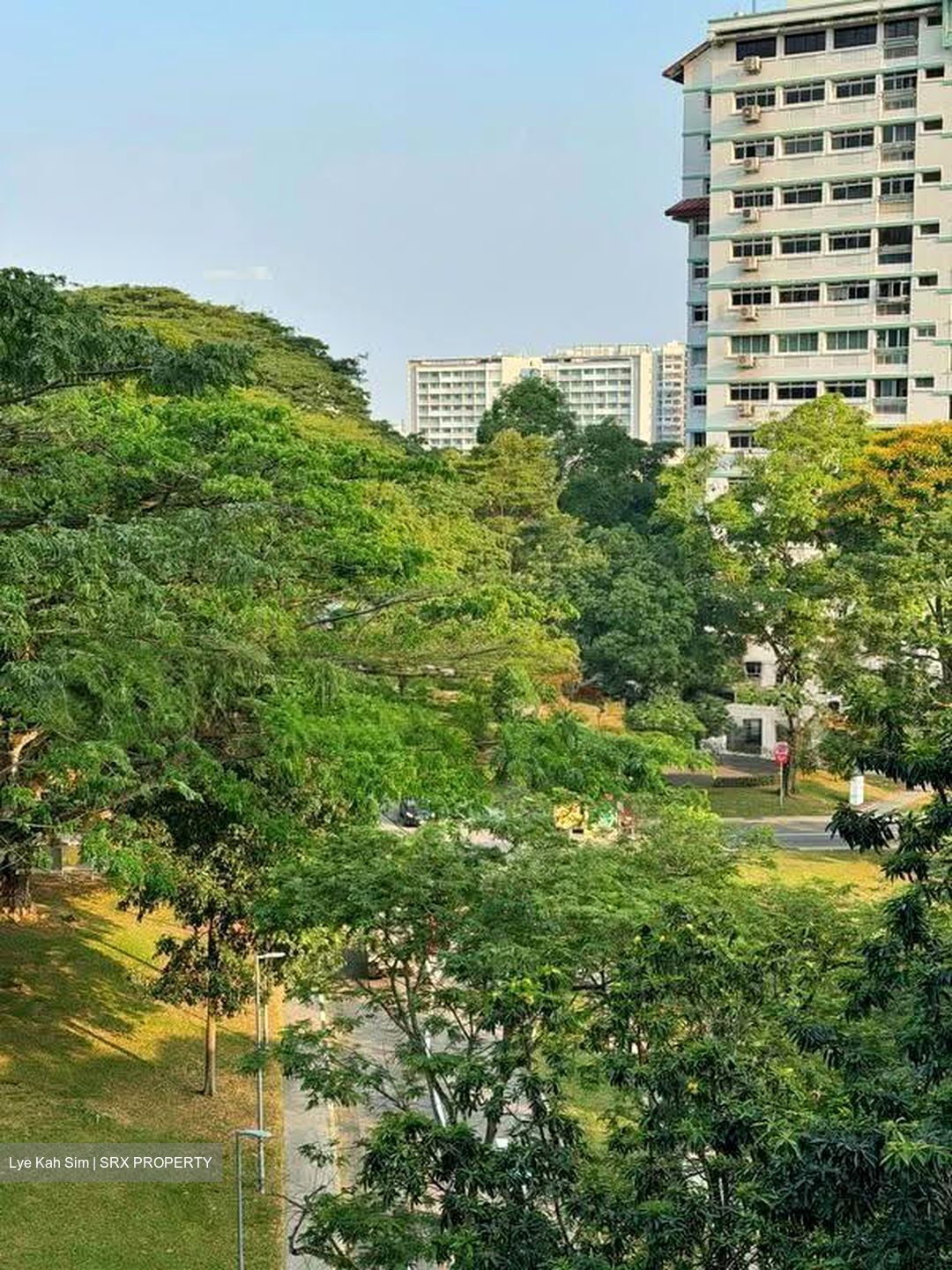 Blk 268C Boon Lay Court (Jurong West), HDB 5 Rooms #617668471